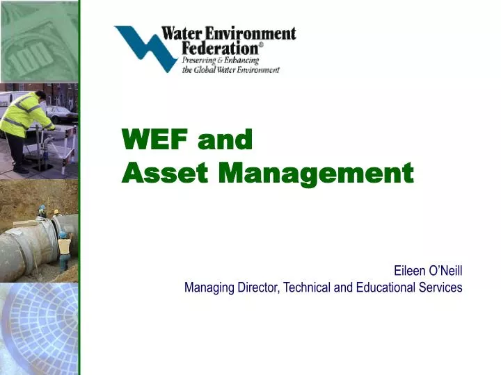 wef and asset management