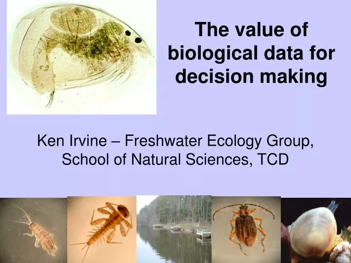 ken irvine freshwater ecology group school of natural sciences tcd