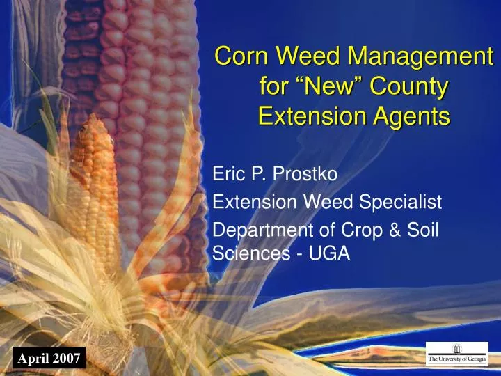 corn weed management for new county extension agents