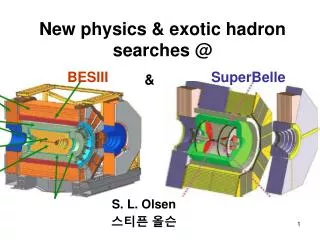 New physics &amp; exotic hadron searches @