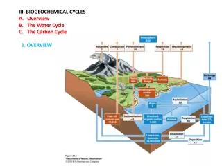 III. BIOGEOCHEMICAL CYCLES Overview The Water Cycle The Carbon Cycle 1. OVERVIEW