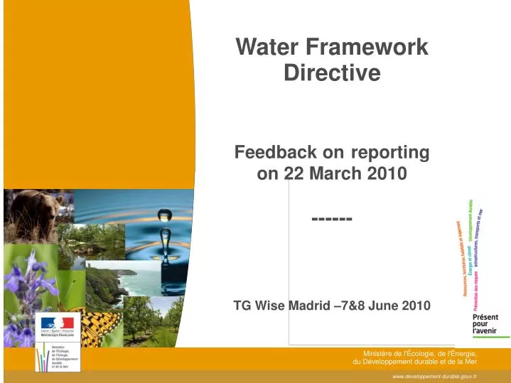 water framework directive feedback on reporting on 22 march 2010 tg wise madrid 7 8 june 2010