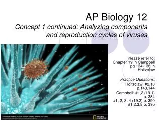 AP Biology 12 Concept 1 continued: Analyzing components and reproduction cycles of viruses