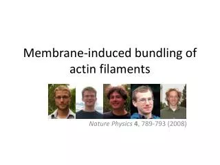 Membrane-induced bundling of actin filaments