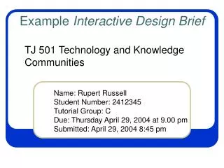Example Interactive Design Brief