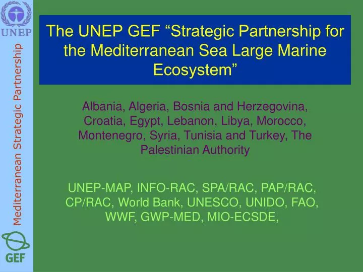 the unep gef strategic partnership for the mediterranean sea large marine ecosystem
