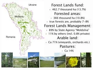 Forest Lands fund: 462.7 thousand ha (13.7%) Forested areas: 366 thousand ha (10.8%)