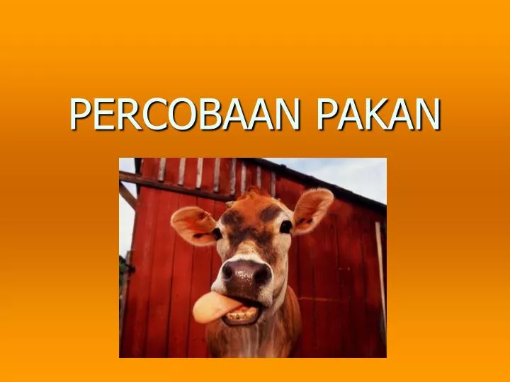 percobaan pakan