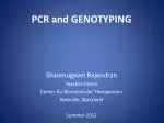 PCR and GENOTYPING - slide 1
