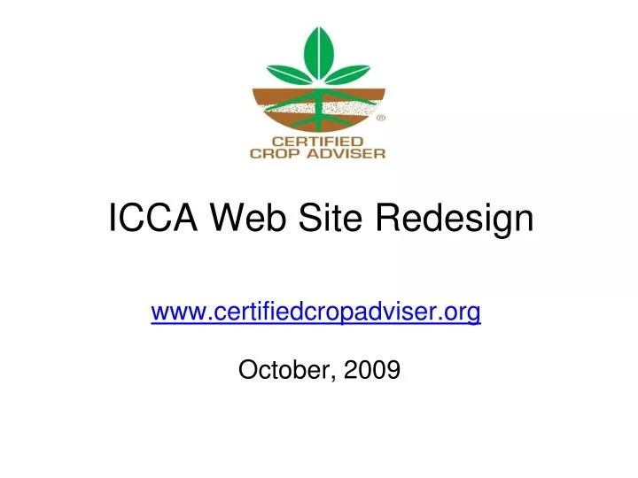 icca web site redesign