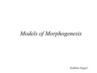 Models of Morphogenesis