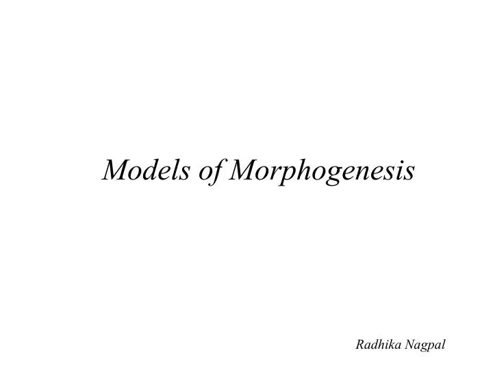 models of morphogenesis