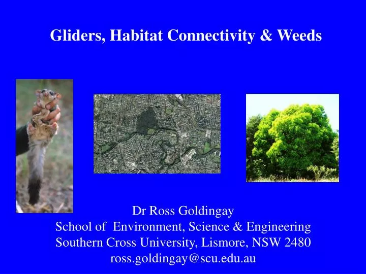gliders habitat connectivity weeds