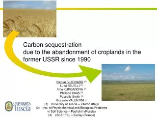 Carbon sequestration due to the abandonment of croplands in the former USSR since 1990