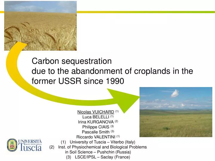 carbon sequestration due to the abandonment of croplands in the former ussr since 1990
