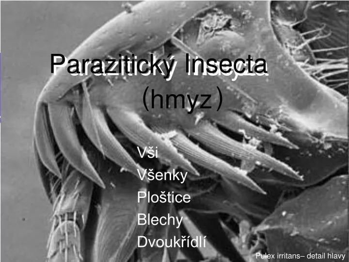 parazitick