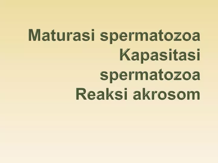 maturasi spermatozoa kapasitasi spermatozoa reaksi akrosom