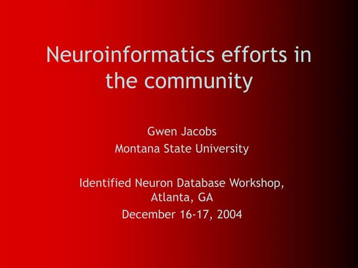 neuroinformatics efforts in the community