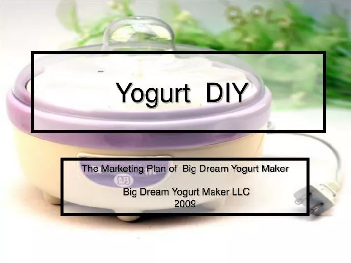 yogurt diy
