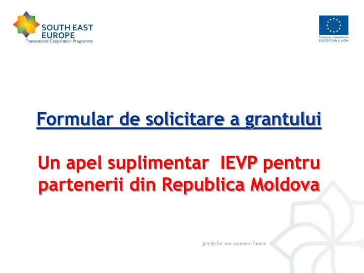 formular de solicitare a grantului un apel suplimentar ievp pentru partenerii din republica moldova