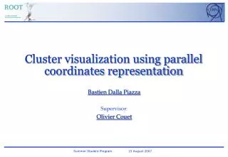 Cluster visualization using parallel coordinates representation