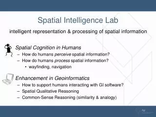 Spatial Intelligence Lab