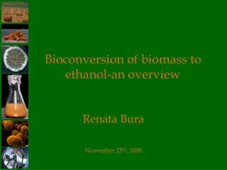 Bioconversion of biomass to ethanol-an overview