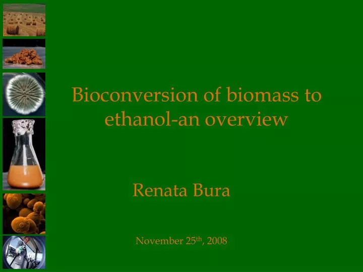 bioconversion of biomass to ethanol an overview