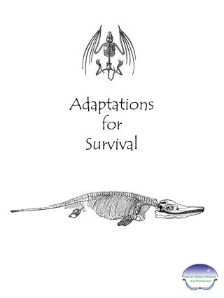 Adaptations for Survival