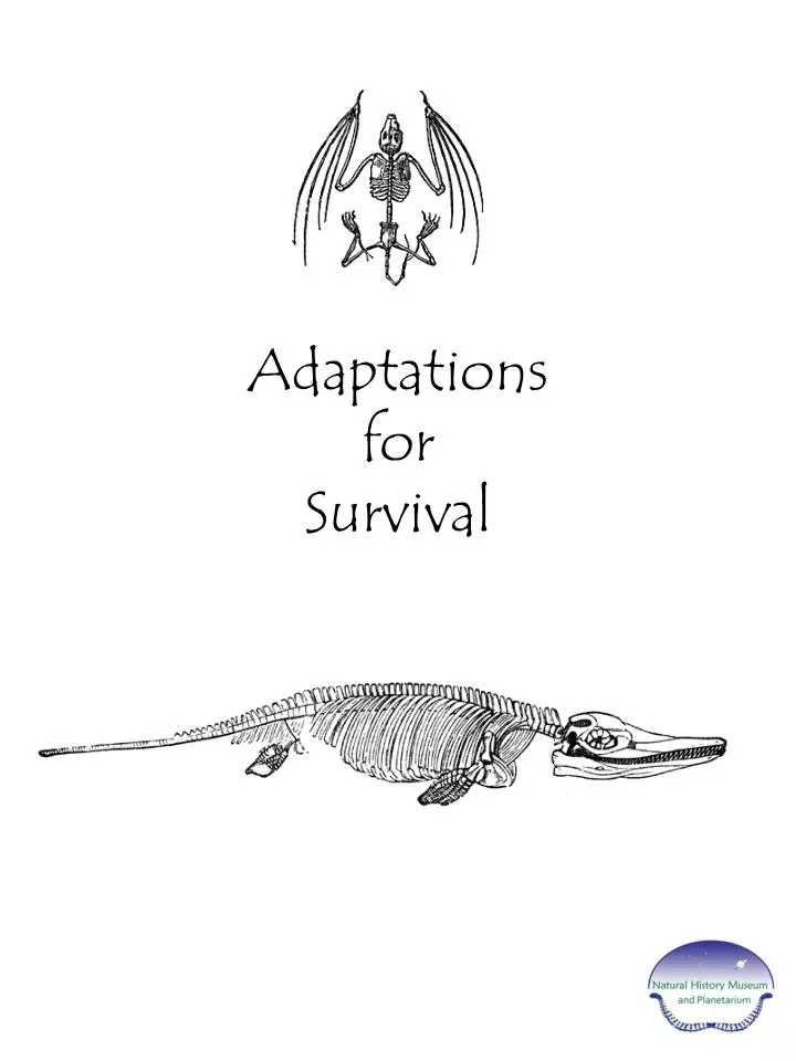 adaptations for survival