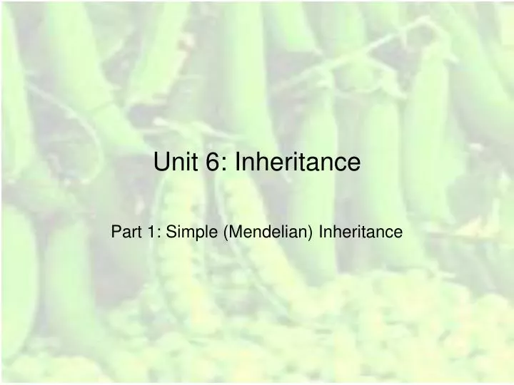 unit 6 inheritance