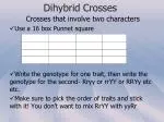 Understanding Dihybrid Crosses: Using Punnett Squares for Genetic Predictions - slide 1