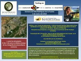 testing en