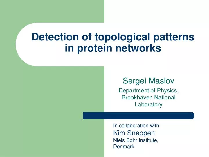 detection of topological patterns in protein networks