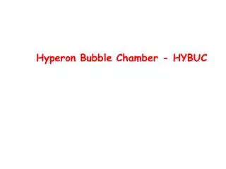 Hyperon Bubble Chamber - HYBUC