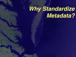 Why Standardize Metadata?