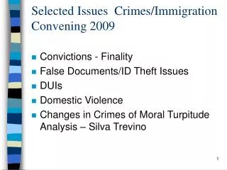 Selected Issues Crimes/Immigration Convening 2009