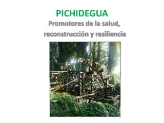 pichidegua