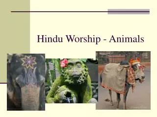 Hindu Worship - Animals