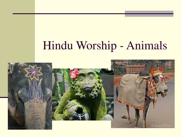 hindu worship animals