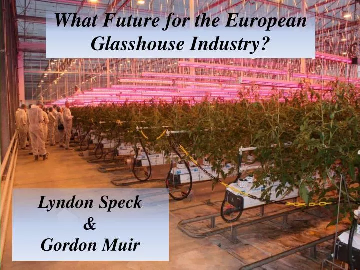 what future for the european glasshouse industry