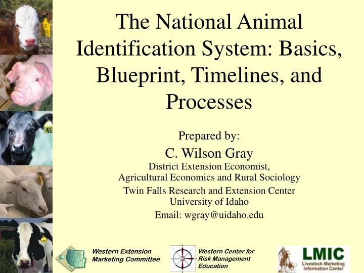 the national animal identification system basics blueprint timelines and processes