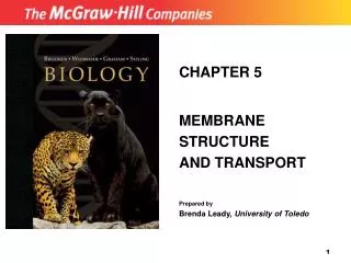 CHAPTER 5 MEMBRANE STRUCTURE AND TRANSPORT Prepared by Brenda Leady, University of Toledo