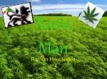 Rasta Man - slide 1