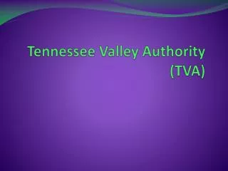 Tennessee Valley Authority (TVA)