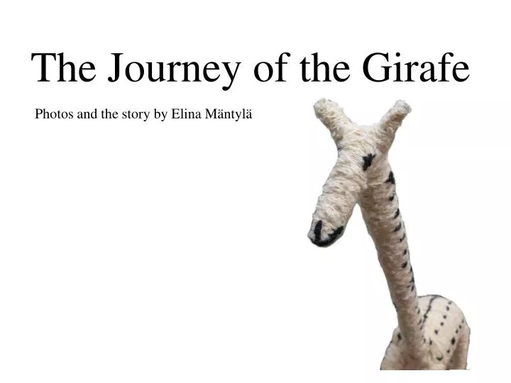 the journey of the girafe