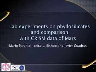 Lab experiments on phyllosilicates and comparison with CRISM data of Mars