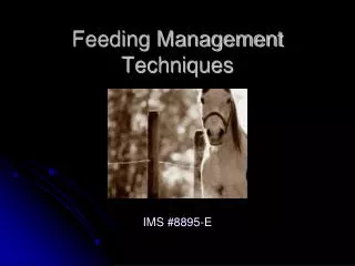 Feeding Management Techniques