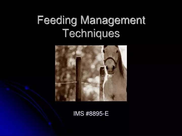 feeding management techniques