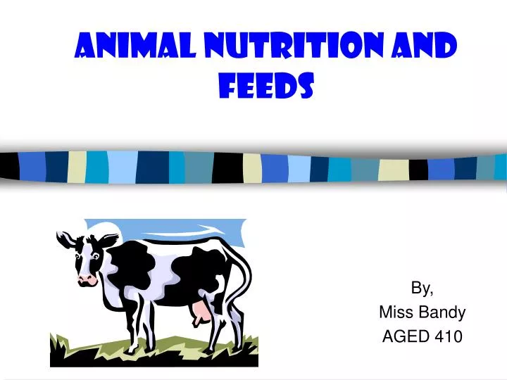animal nutrition and feeds
